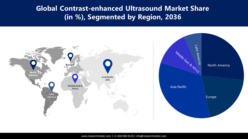 Contrast-enhanced Ultrasound Market Size